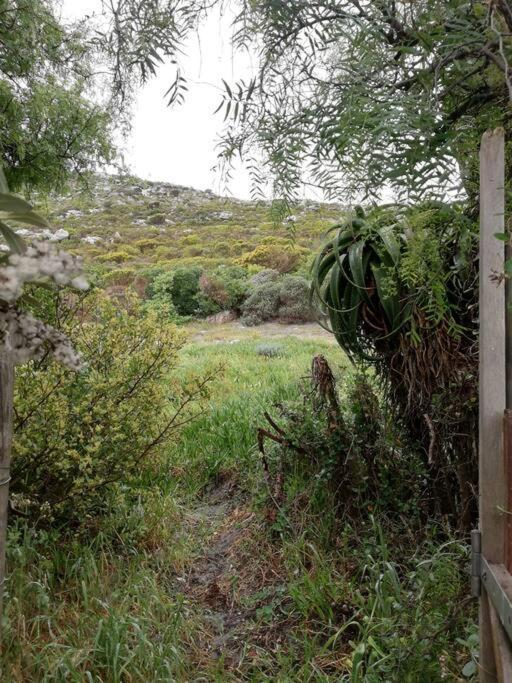 Serene Hide-Away With Ocean Views. Cape Town Bagian luar foto