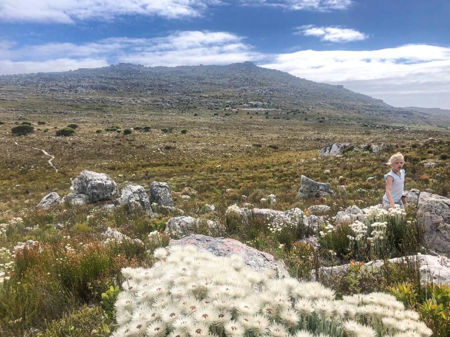 Serene Hide-Away With Ocean Views. Cape Town Bagian luar foto